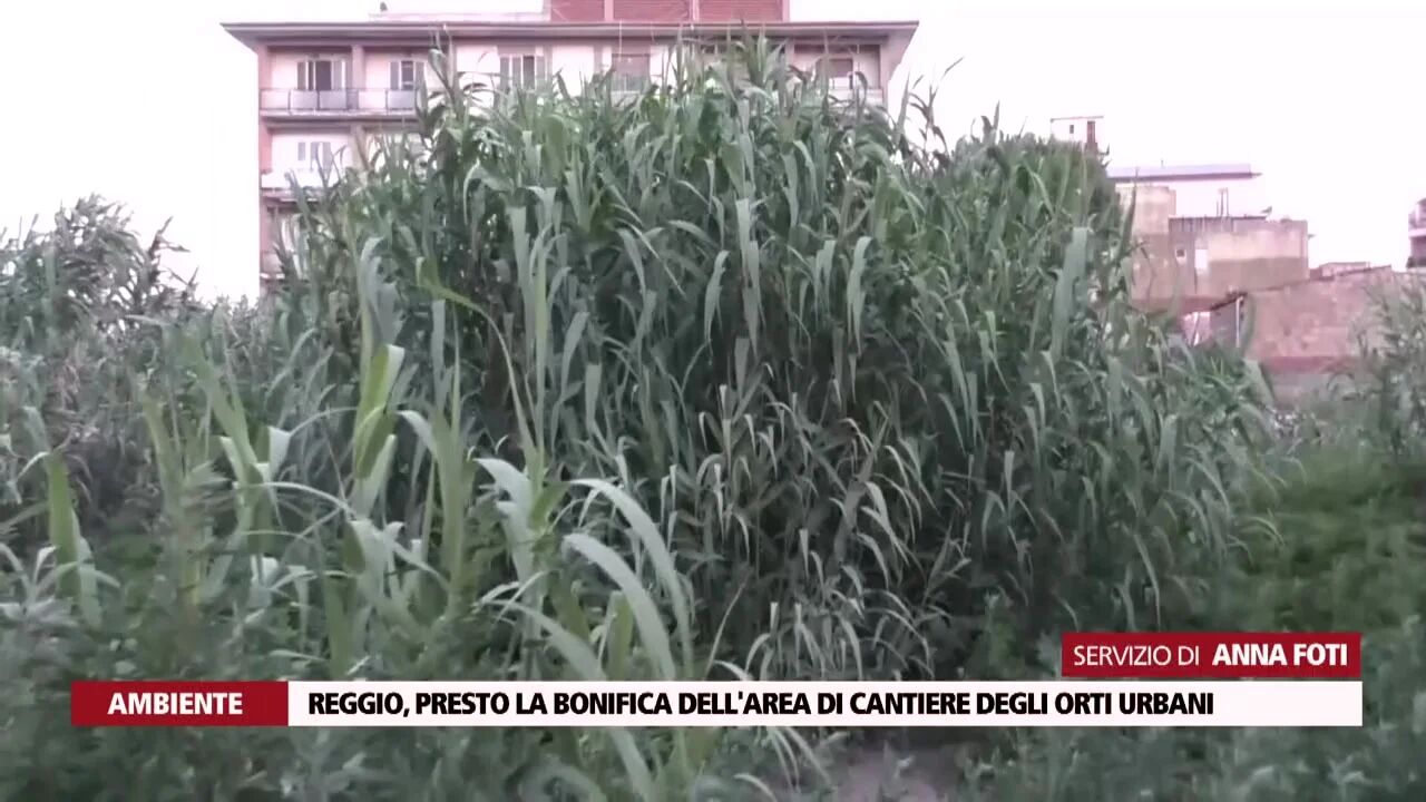 Reggio, presto la bonifica dell'area di cantiere degli orti urbani