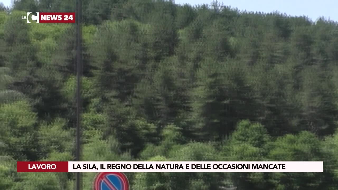 La Sila, il regno della natura e delle occasioni mancate