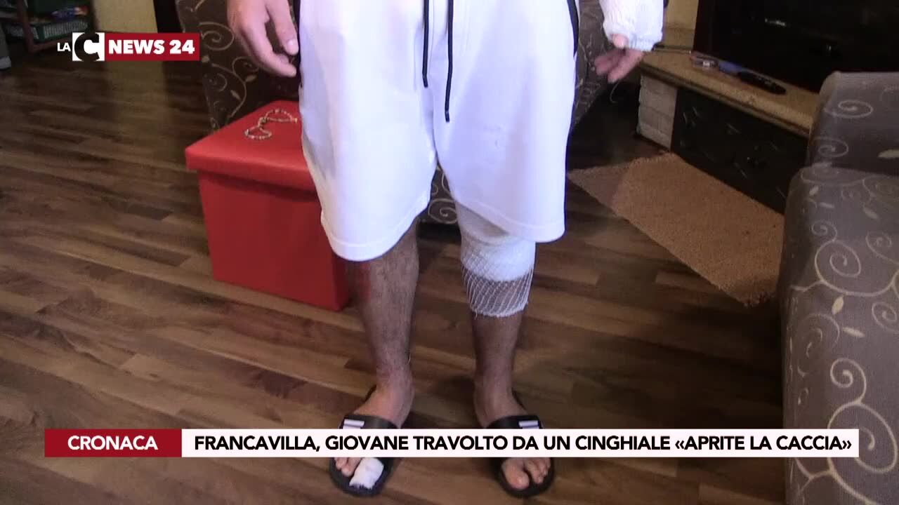 Francavilla, giovane travolto da un cinghiale: «Aprite la caccia»