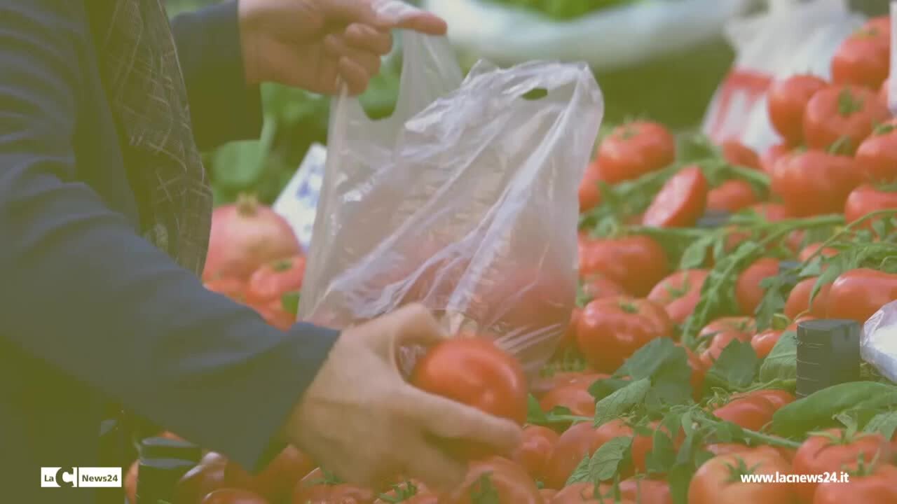 Rubrica Tg Carrello della spesa - Al mercato coperto di Lamezia Terme per dare voce ai clienti e ai venditori