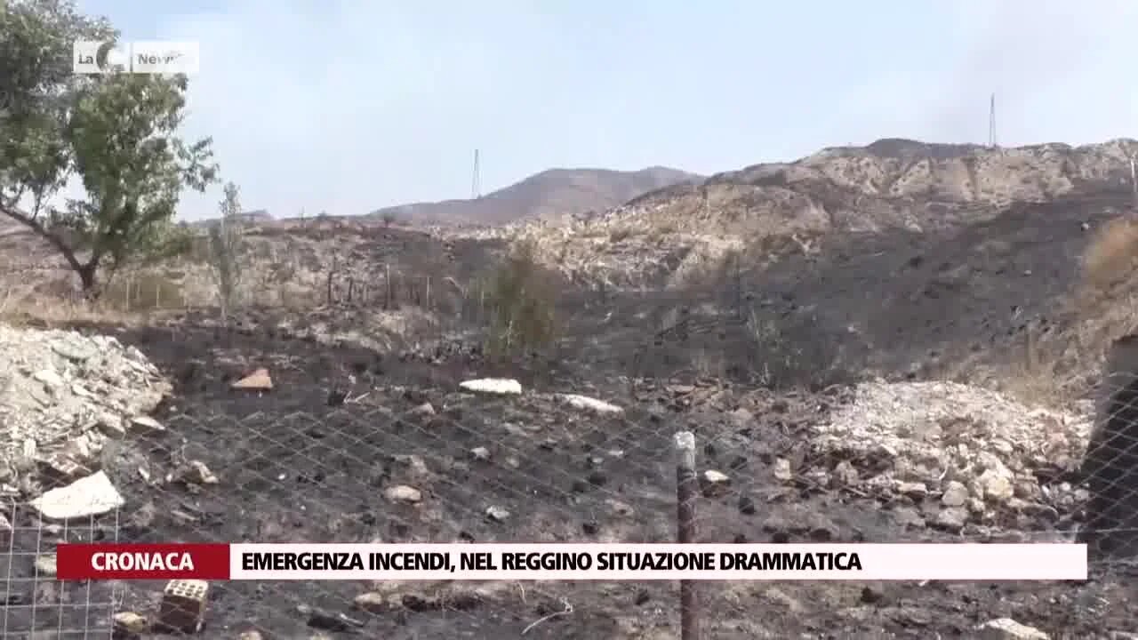 Animali arsi vivi, case assediate dalle fiamme e residenti disperati: il dramma incendi nel Reggino