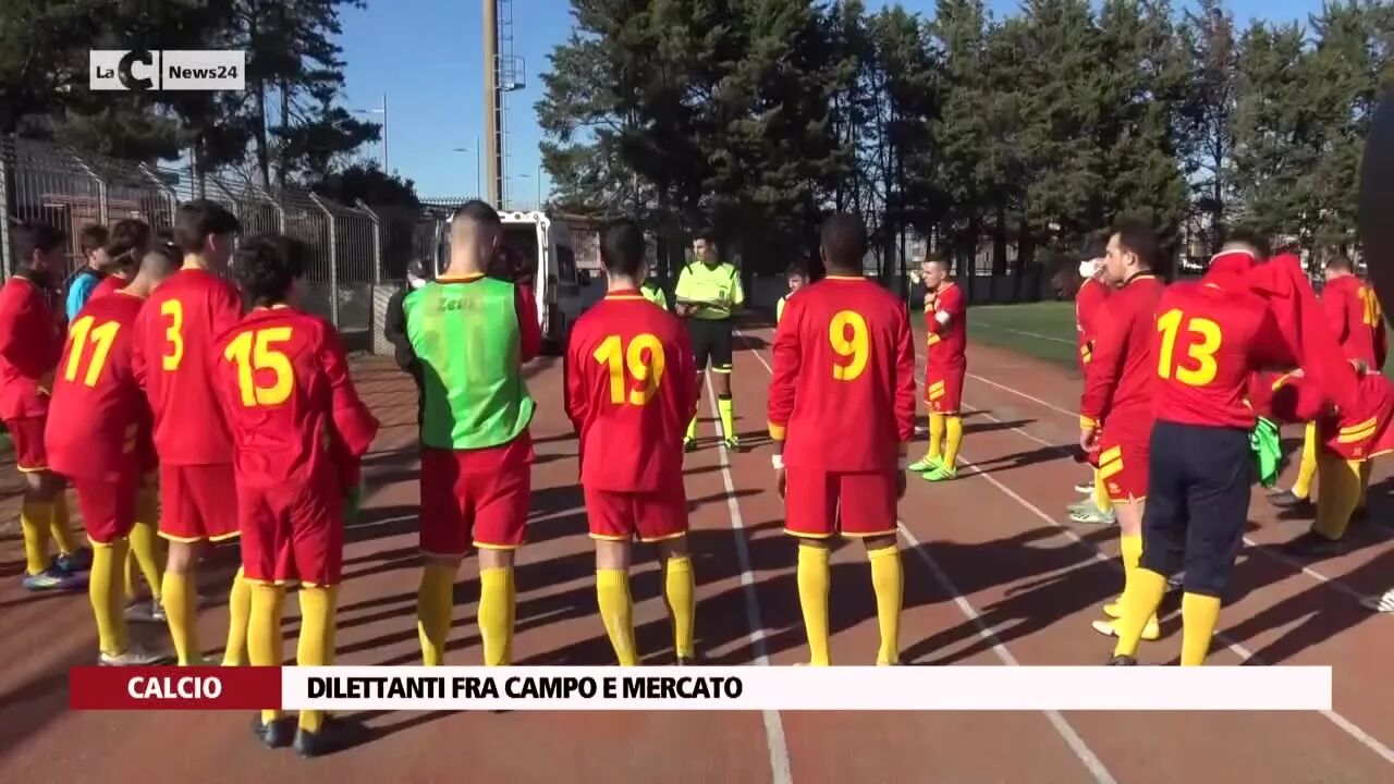 Dilettanti fra campo e mercato