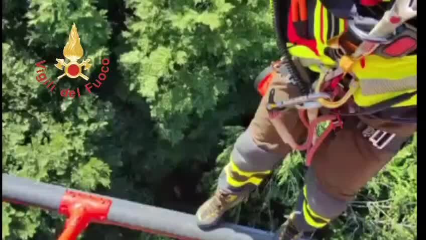 Escursionista disperso nei boschi di Fuscaldo: recuperato dai Vigili del Fuoco con un elicottero | VIDEO