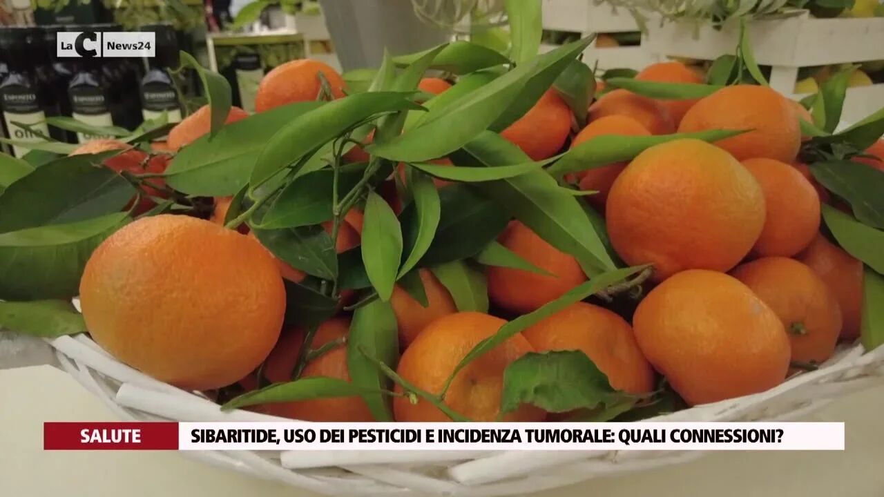 Sibaritide, uso dei pesticidi e incidenza tumorale: quali connessioni?
