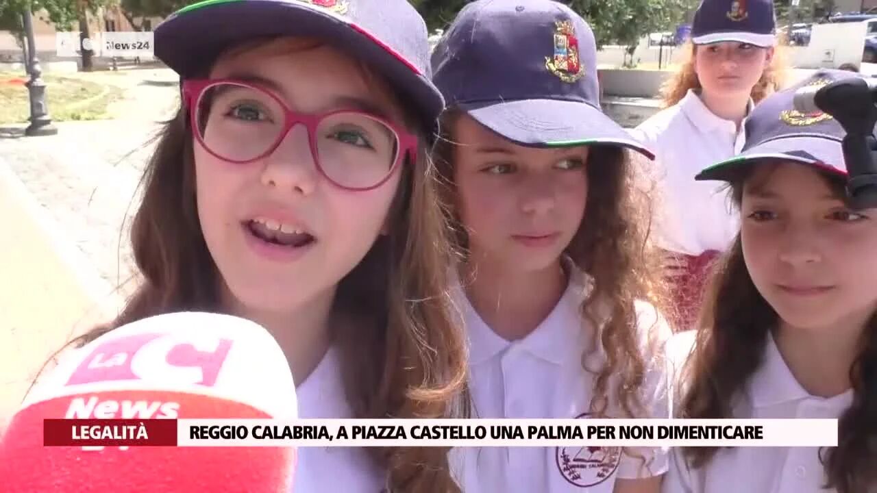 Reggio Calabria, a piazza Castello una palma per non dimenticare