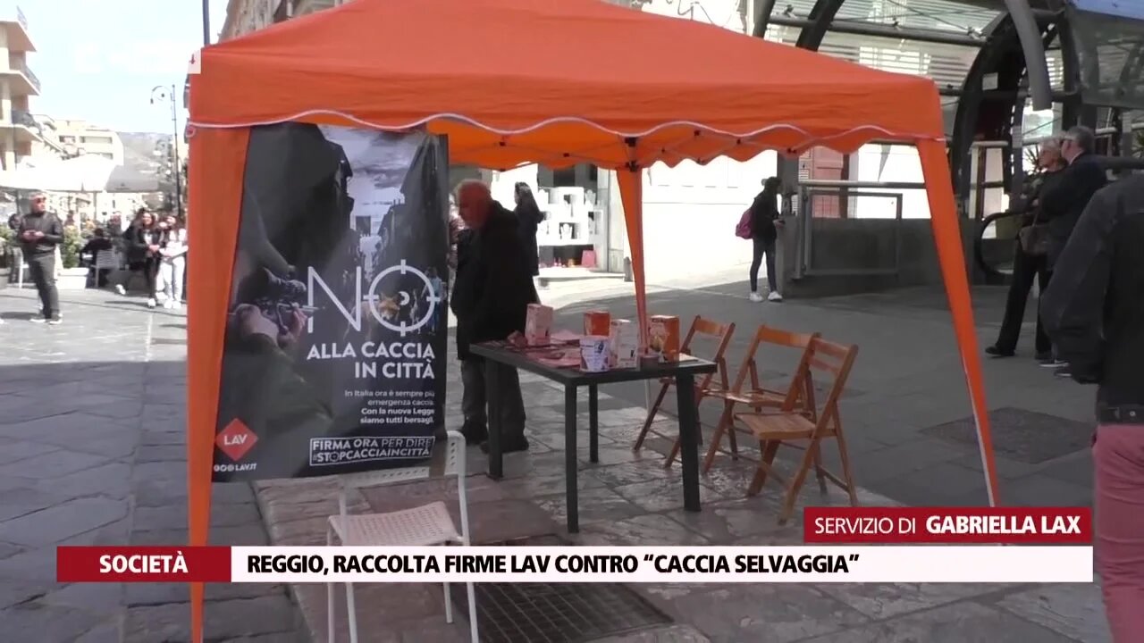 Reggio, raccolta firme Lav contro “caccia selvaggia”