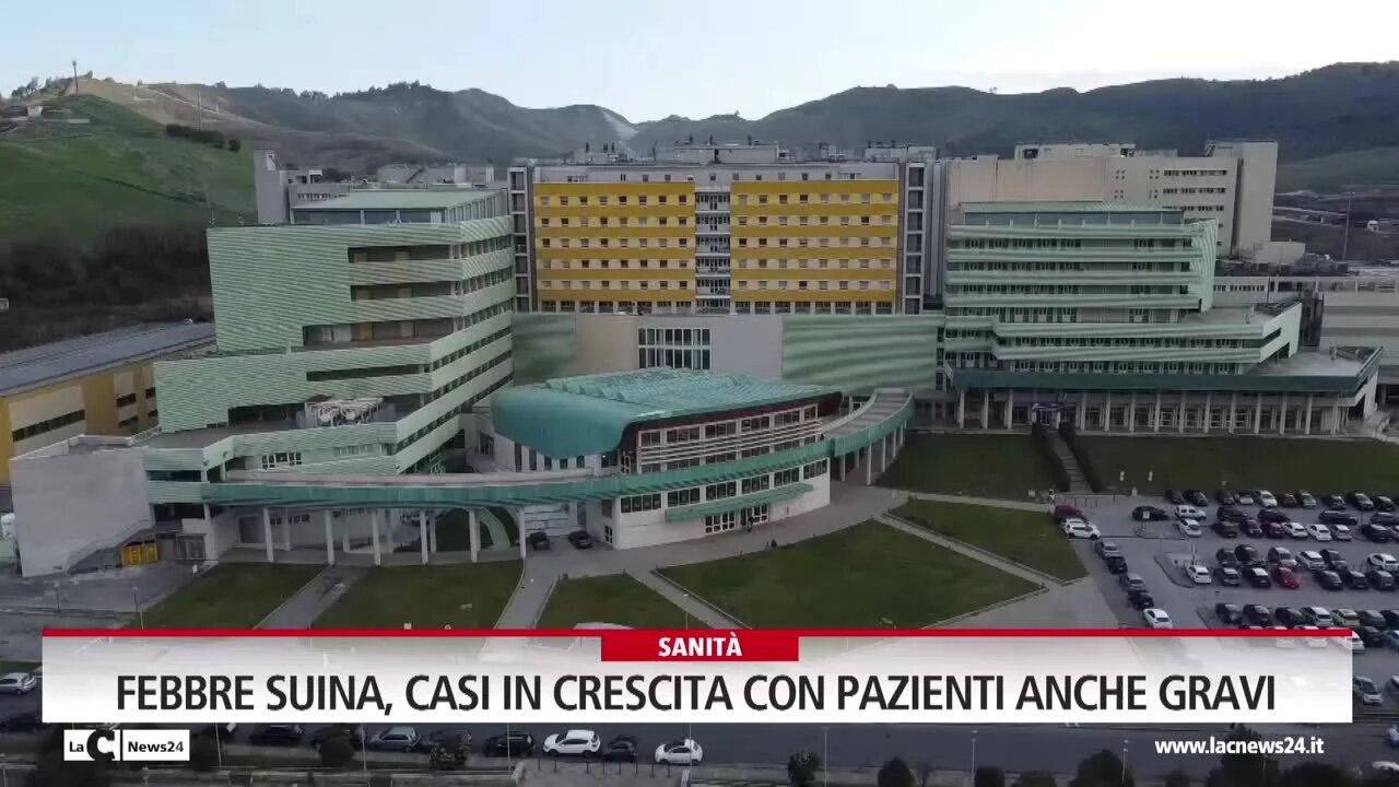 Febbre suina, casi in crescita con pazienti anche gravi