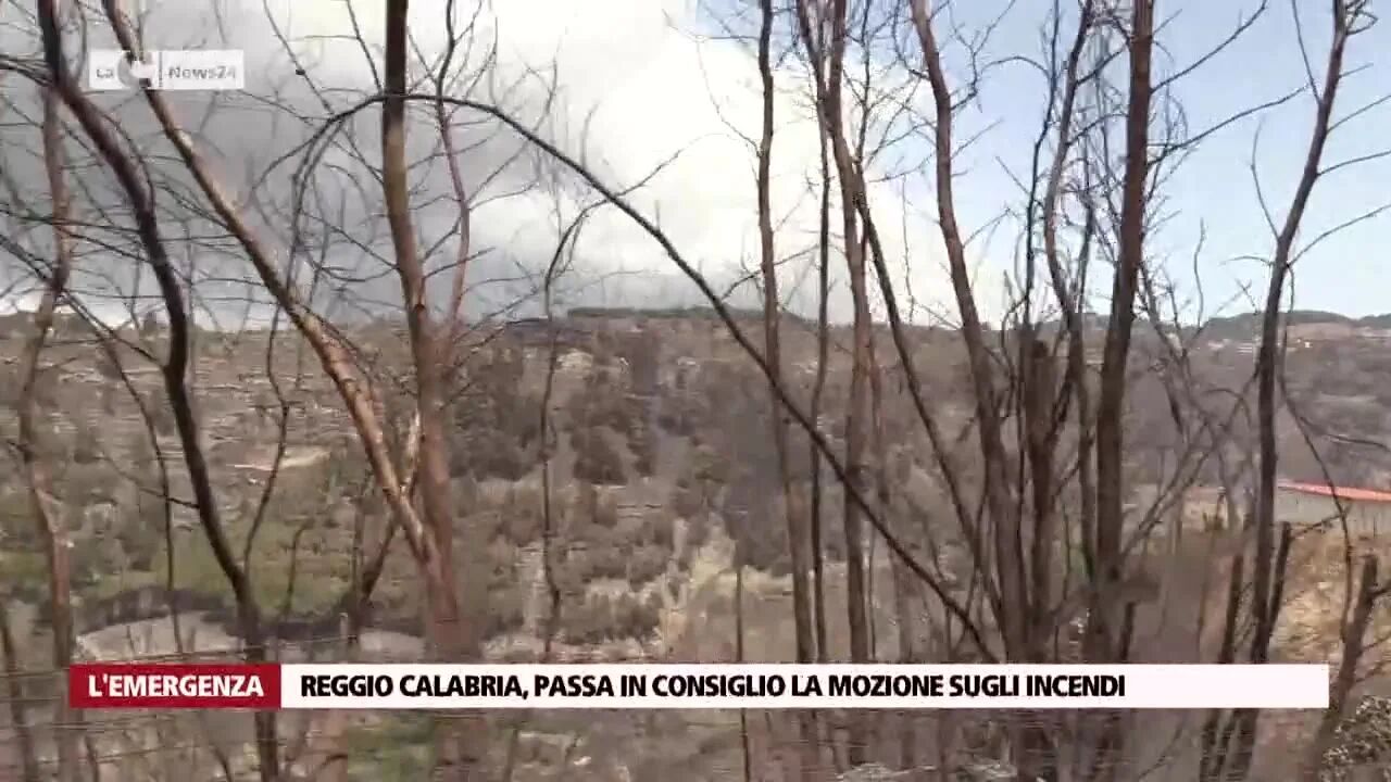 Reggio Calabria, passa in Consiglio la mozione sugli incendi