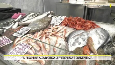 Il carrello della spesa - In pescheria alla ricerca di freschezza e convenienza 