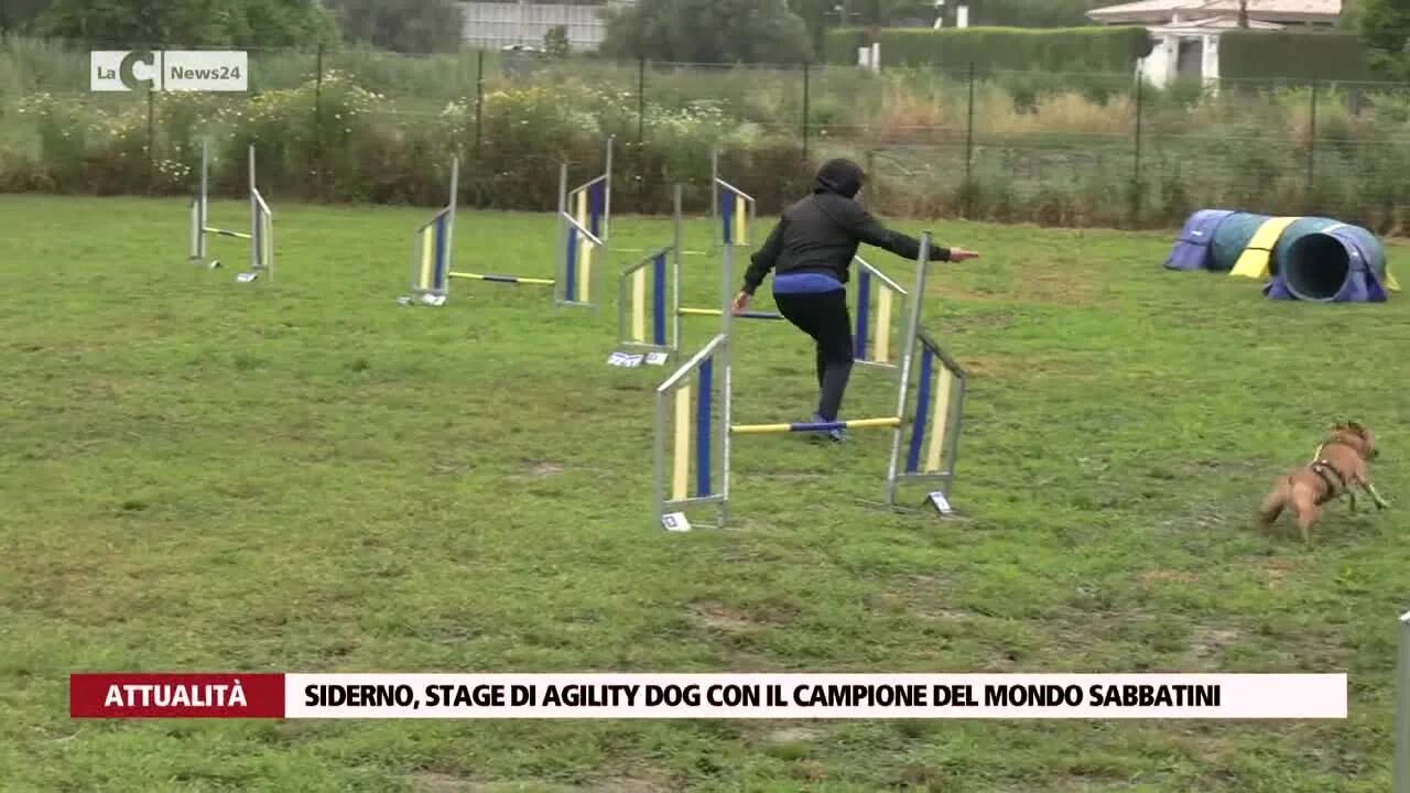Siderno, stage di agility dog con il campione del mondo Sabbatini