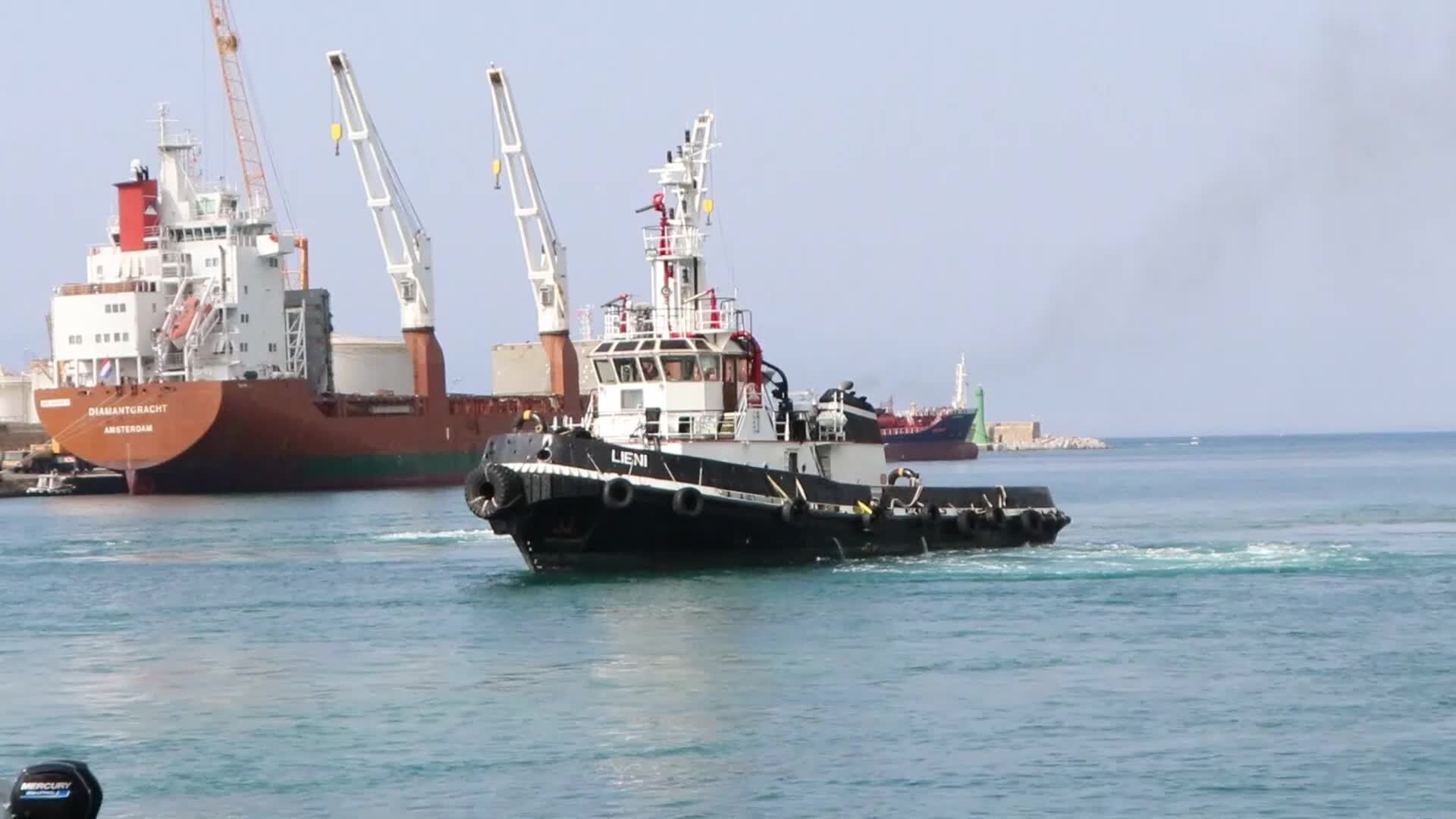 Vibo Marina, arriva la Sea Watch con 100 migranti: 13 sono minori - VIDEO