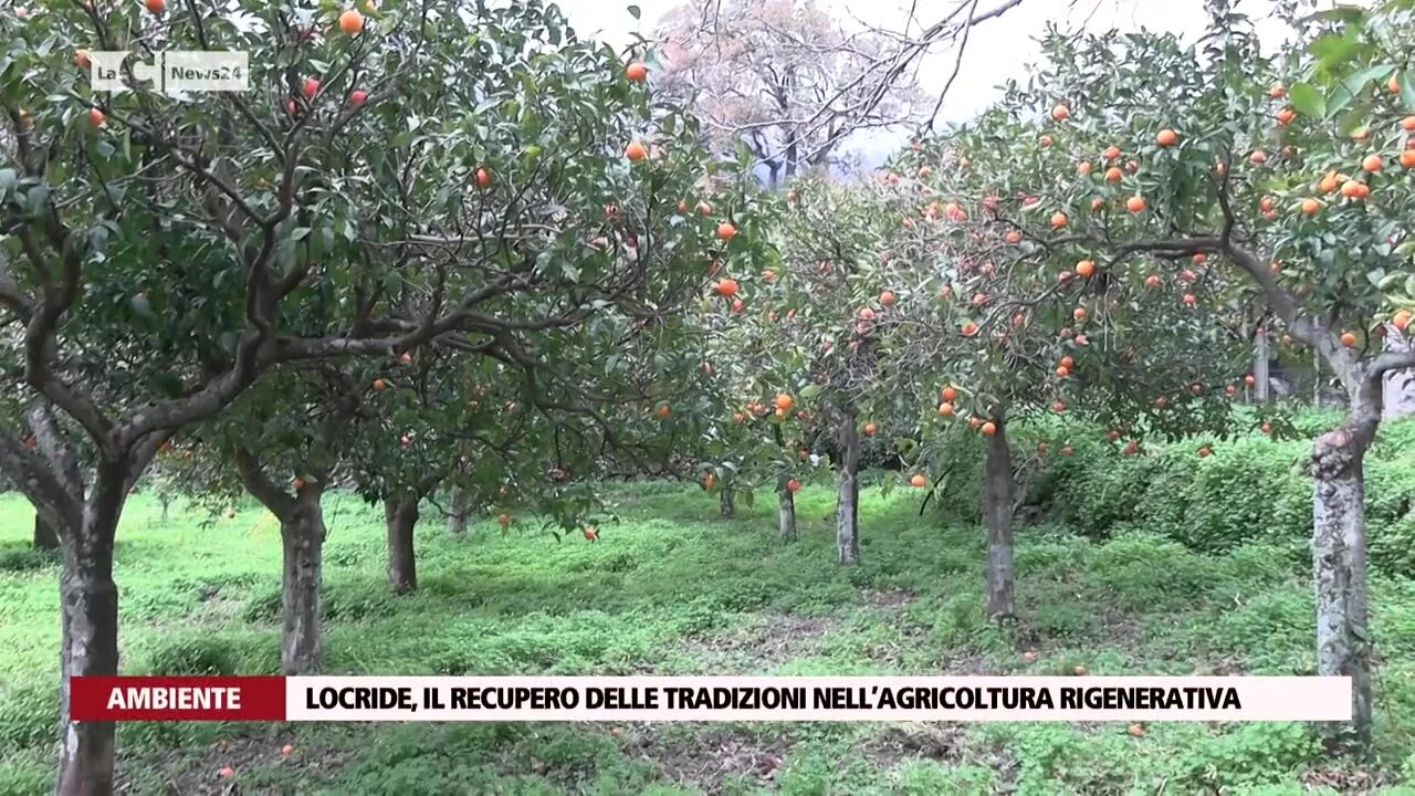 Locride, il recupero delle tradizioni nell’agricoltura rigenerativa