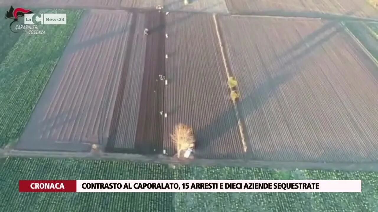 Contrasto al caporalato, 15 arresti e dieci aziende sequestrate