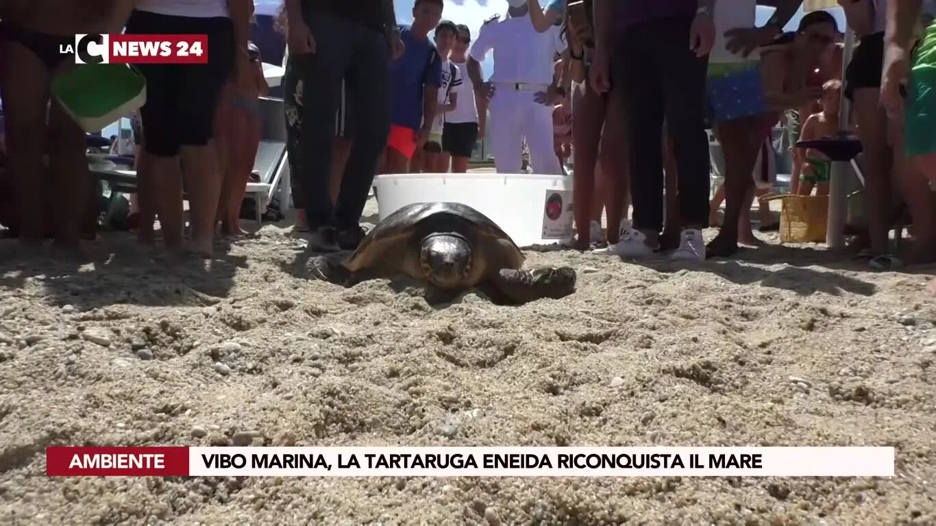 Vibo Marina, la tartaruga Eneida rinconquista il mare