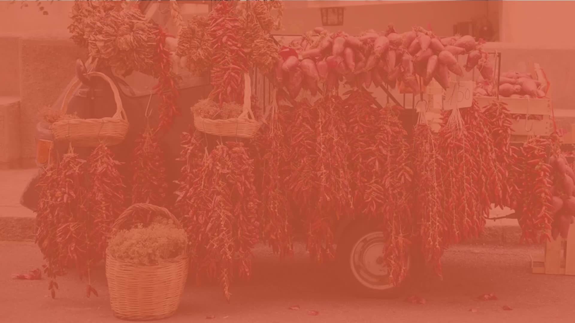 Passione street food: sapori e odori della cucina internazionale a Falerna