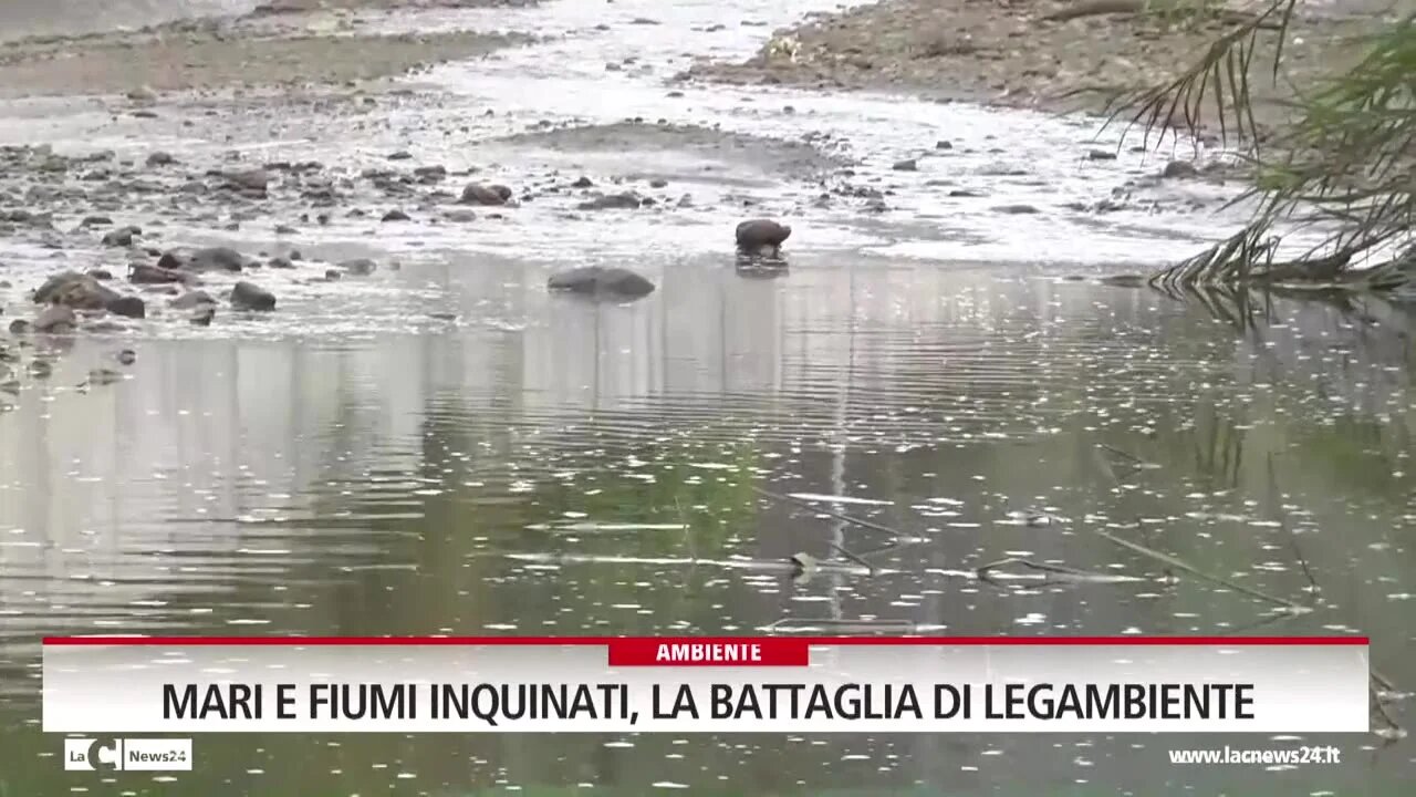 Mari e fiumi inquinati, la battaglia di Legambiente