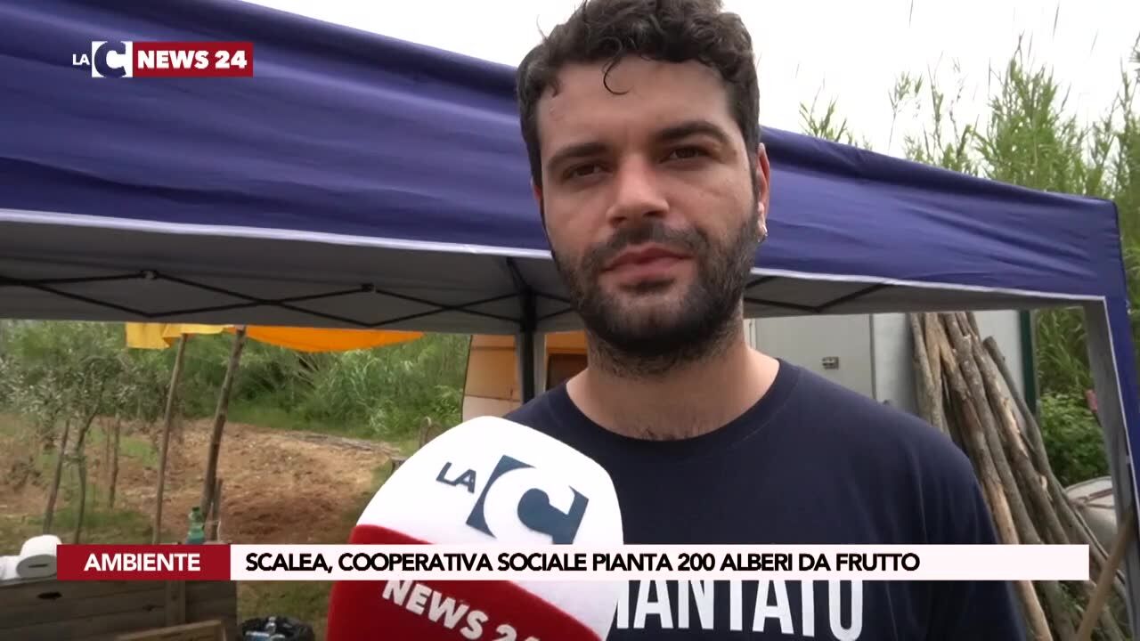 Scalea, la cooperativa sociale pianta 200 alberi da frutto