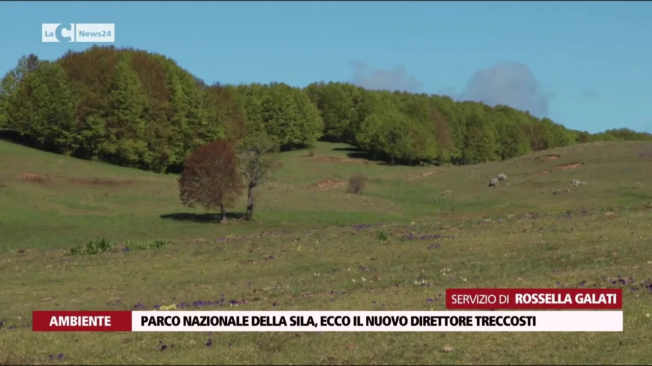 Parco nazionale della Sila, il neodirettore Treccosti: «È un posto meraviglioso, ecco cosa faremo»