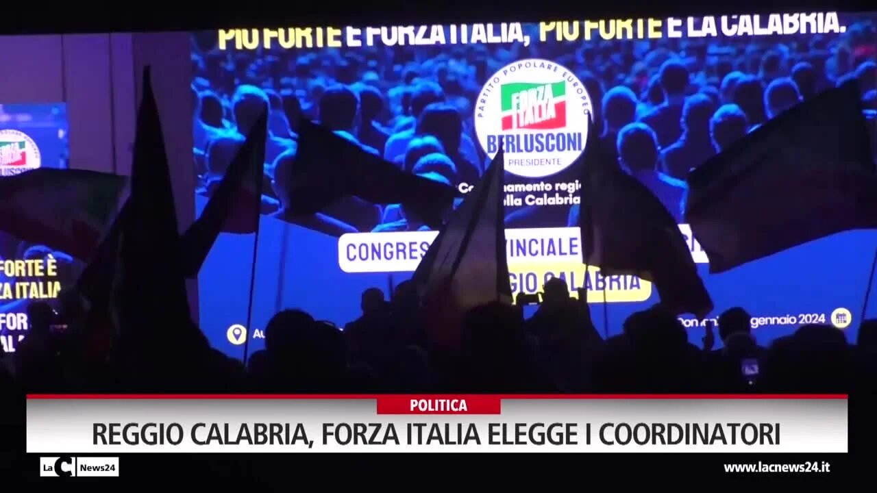 Reggio Calabria, Forza Italia elegge i coordinatori