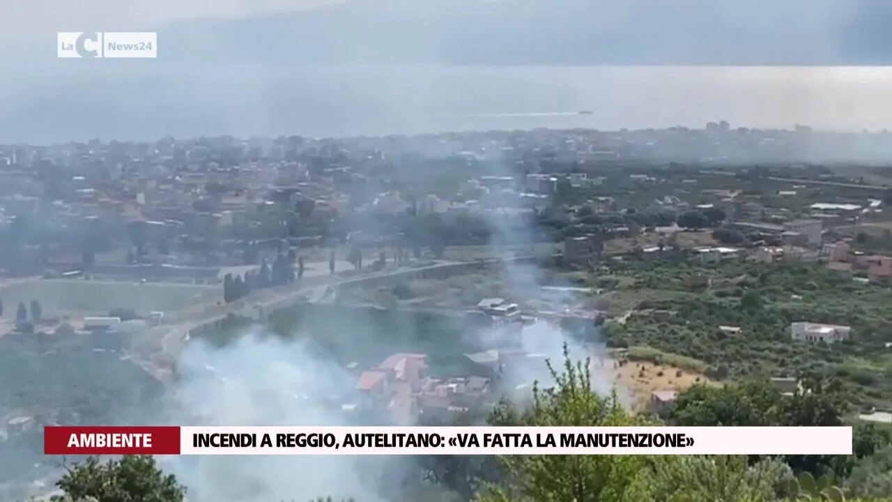 Incendi a Reggio, Autelitano: «Va fatta la manutenzione»