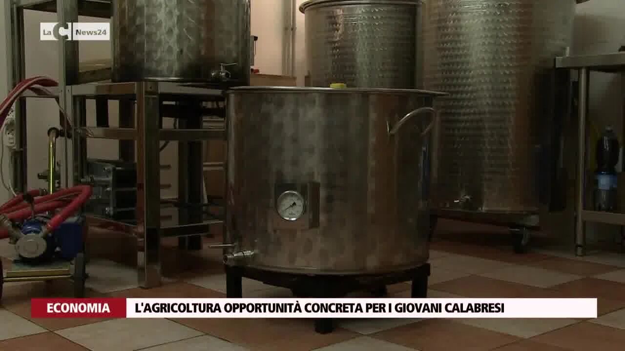 L'agricoltura opportunità concreta per i giovani calabresi