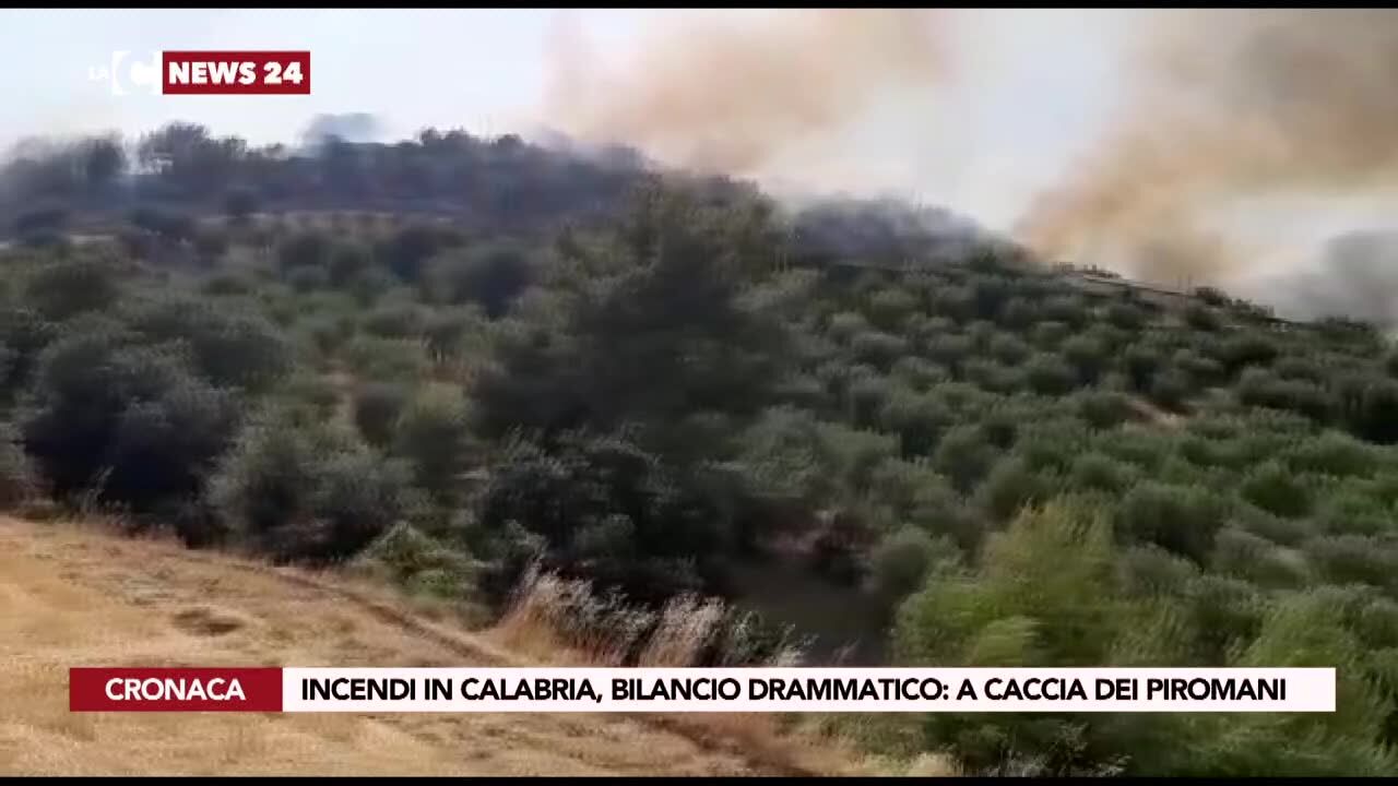Incendi in Calabria, bilancio drammatico: a caccia dei piromani