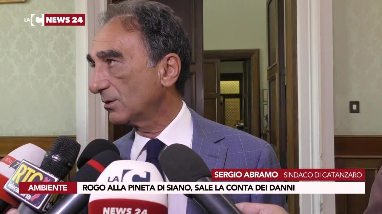 Rogo alla pineta di Siano, sale la conta dei danni