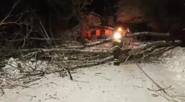 Cadono alberi a Taverna e tranciano fili elettrici