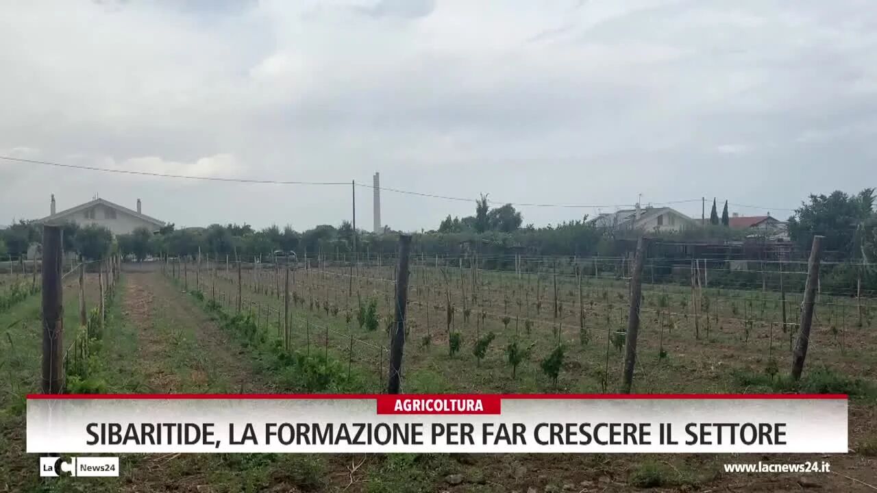 Sibaritide, la formazione per far crescere il settore