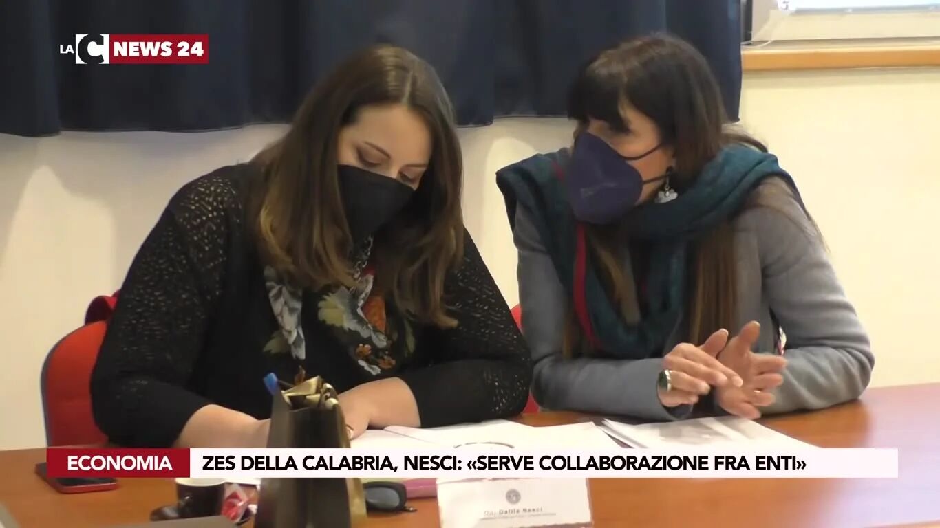 Zes della Calabria, Nesci: «Serve collaborazione fra Enti»