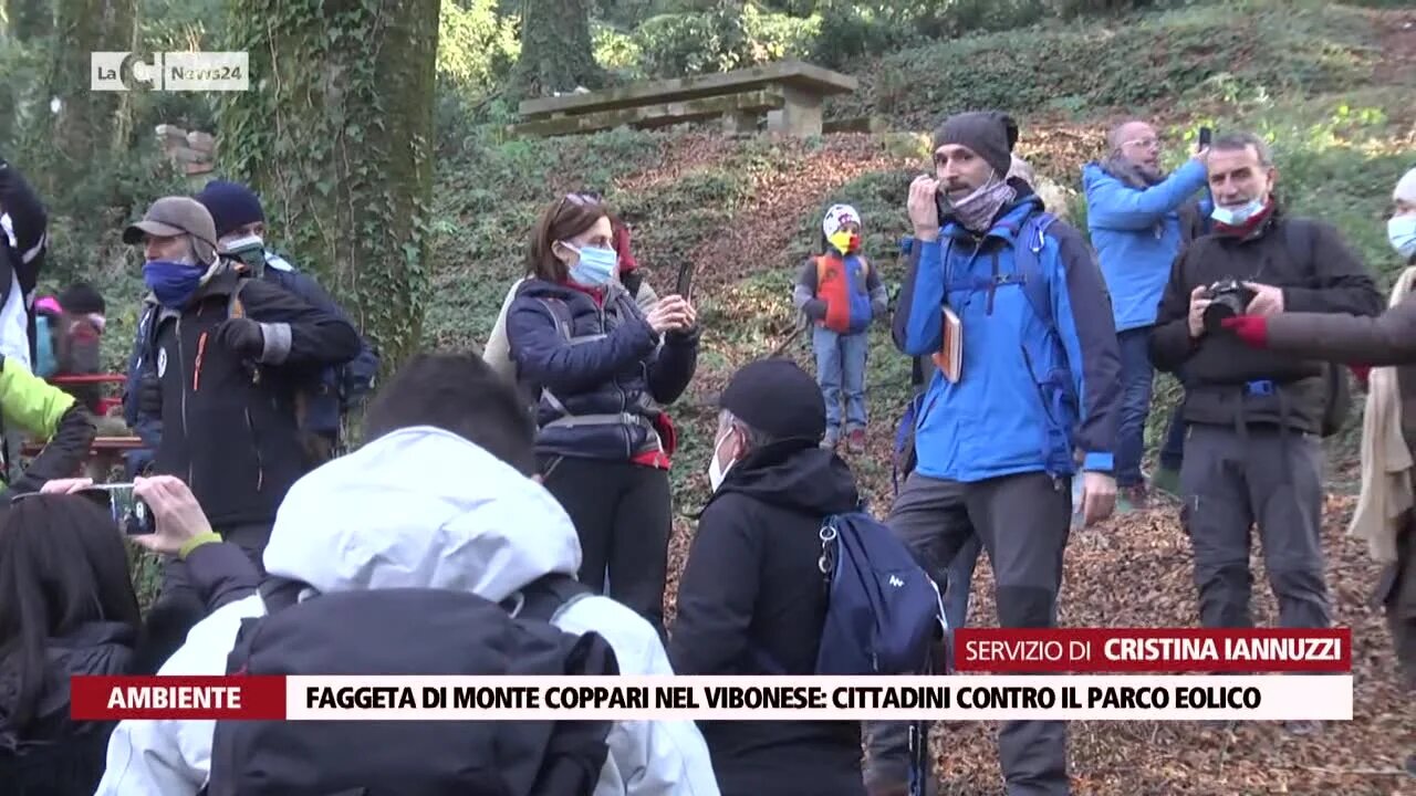 Faggeta di Monte Coppari nel Vibonese: cittadini contro il parco eolico