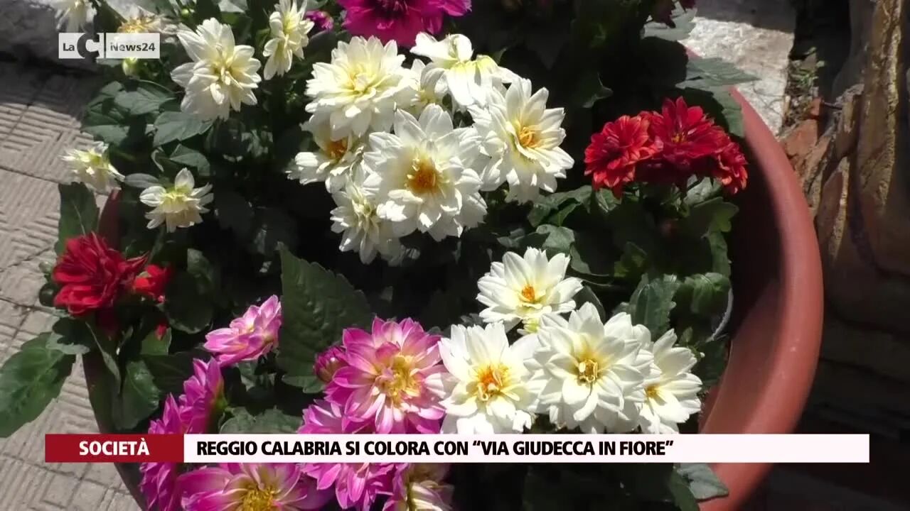 Reggio Calabria si colora con “Via giudecca in fiore”