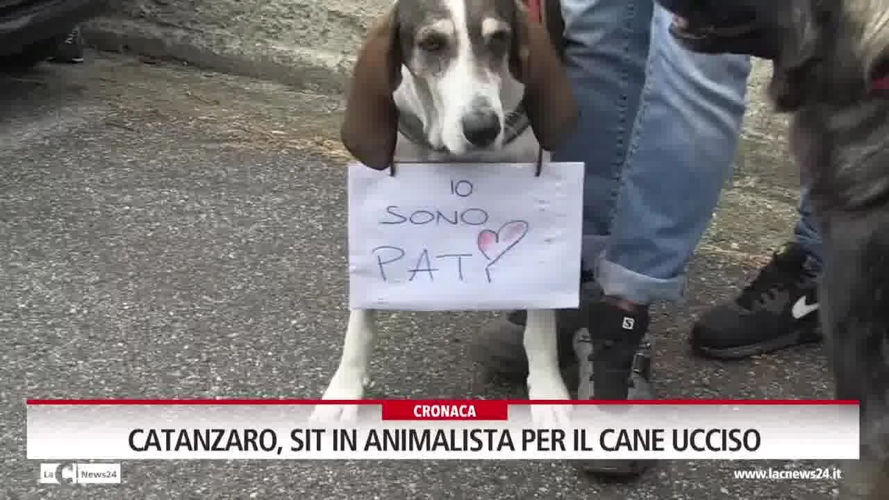Catanzaro, sit in animalista per il cane ucciso