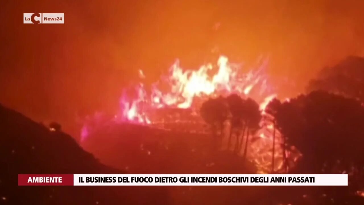 Il business del fuoco dietro gli incendi boschivi degli anni passati