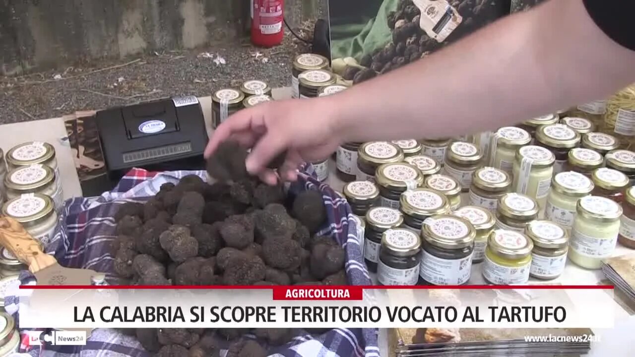 La Calabria si scopre territorio vocato al tartufo