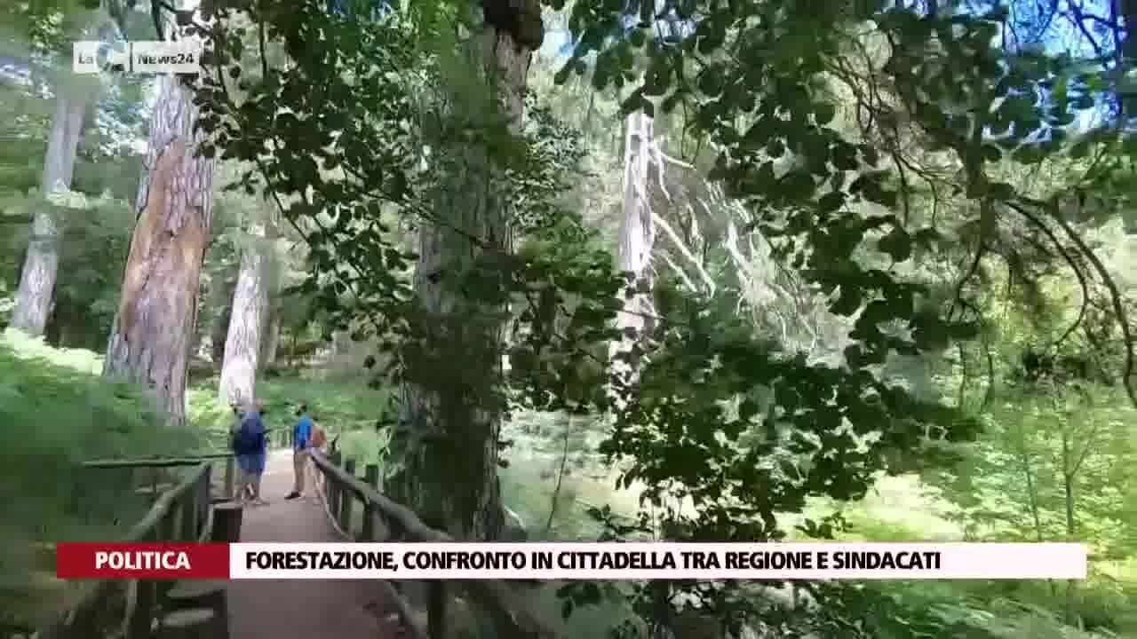 Forestazione, confronto in Cittadella tra regione e sindacati
