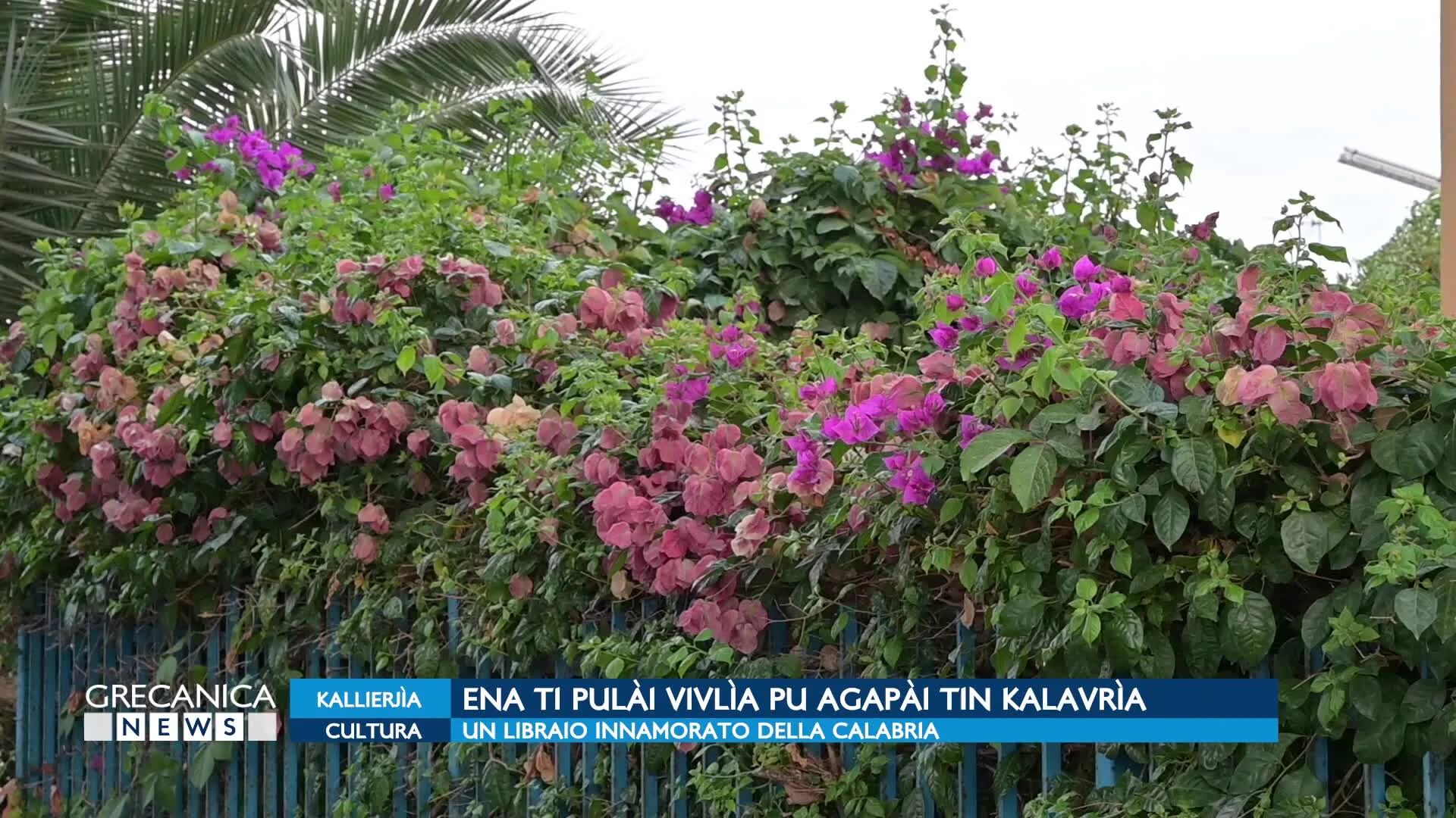 Grecanica news - A Brancaleone un libraio innamorato della Calabria 