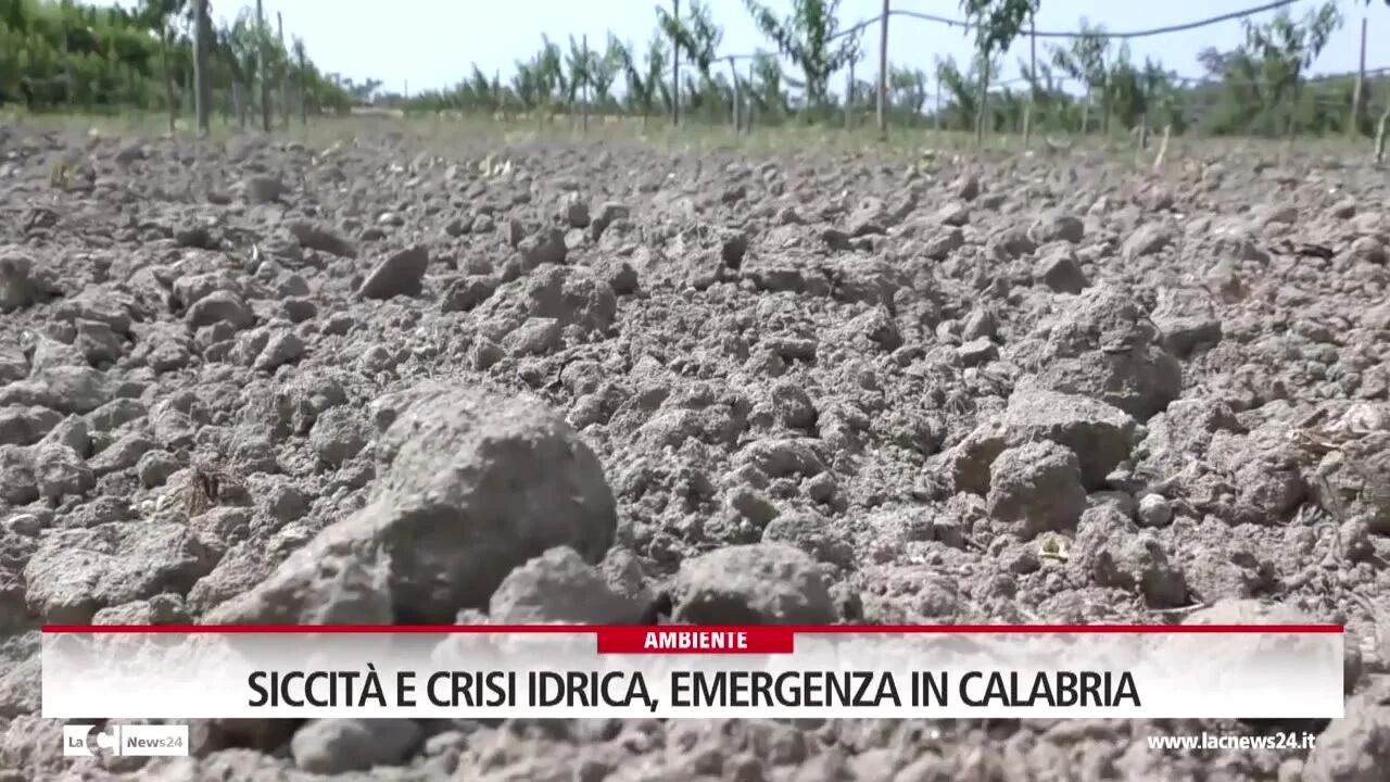 Siccità e crisi idrica, emergenza in Calabria