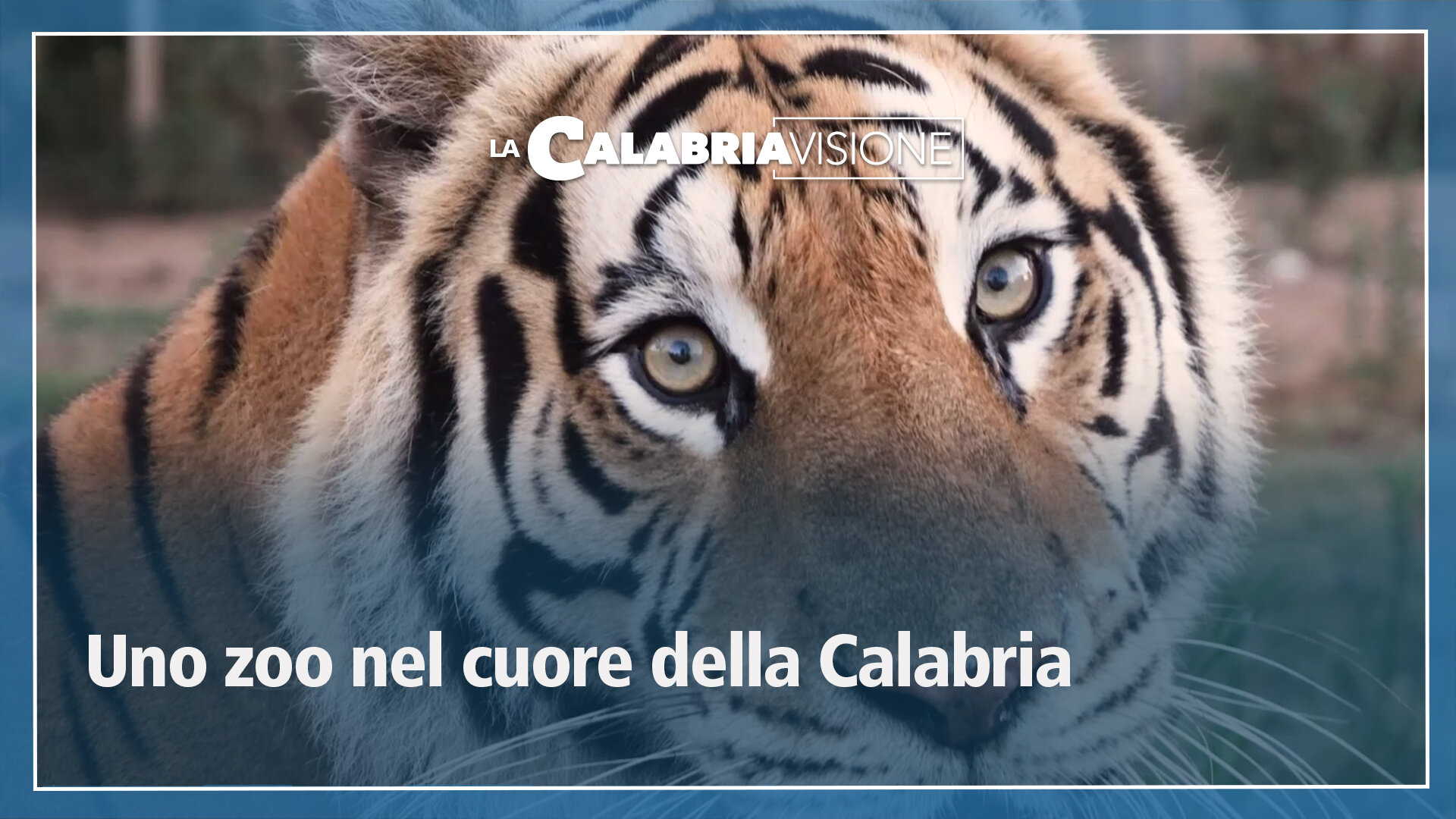 Uno zoo nel cuore della Calabria: alla scoperta del parco faunistico di San Pietro a Maida