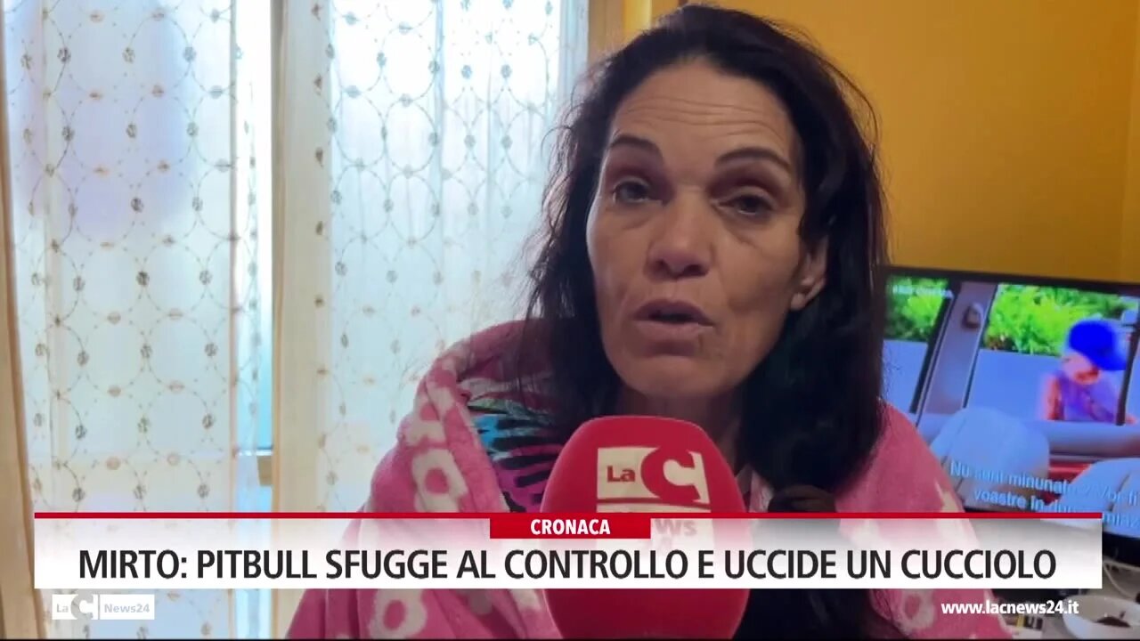 Mirto, pitbull sfugge al controllo e uccide un cucciolo