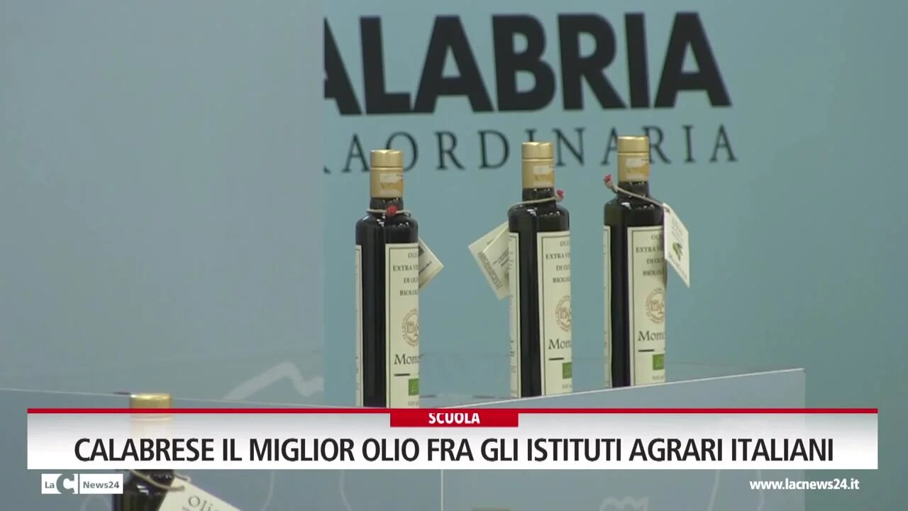 Calabrese il miglior olio fra gli istituti agrari italiani