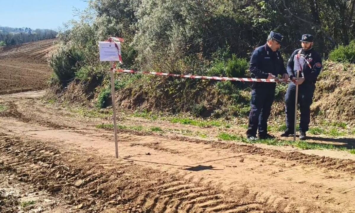 Bosco cancellato a Rende, denunciate quattro persone | VIDEO