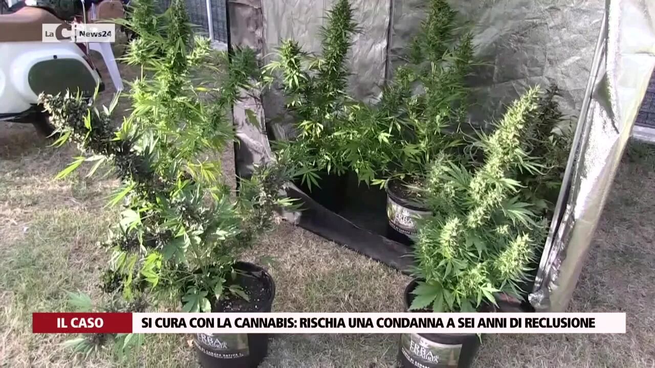 Si cura con la cannabis: rischia una condanna a sei anni di reclusione