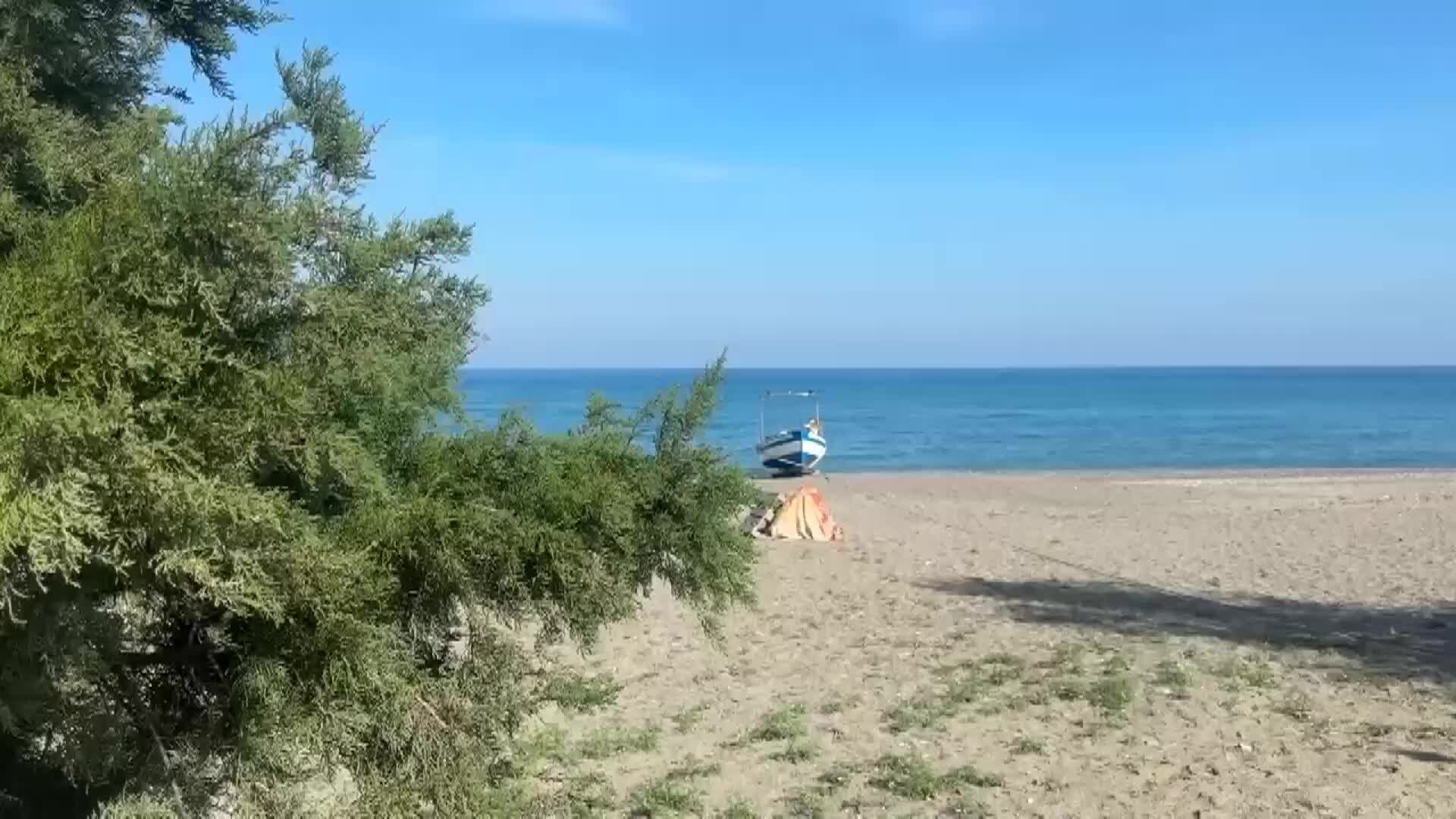 Strage di pesci nel Basso Ionio cosentino, la colpa è di un virus micidiale | VIDEO