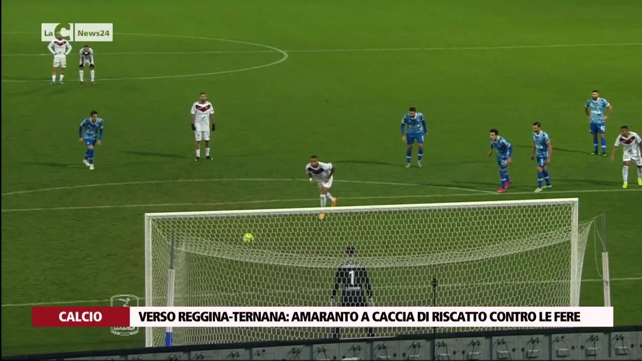 Verso Reggina-Ternana: amaranto a caccia di riscatto contro le fere