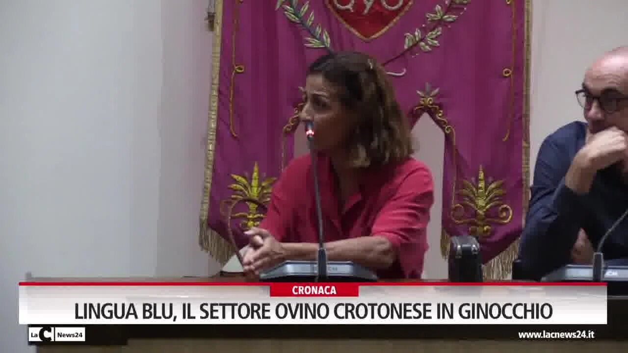 Lingua blu, il settore ovino crotonese in ginocchio