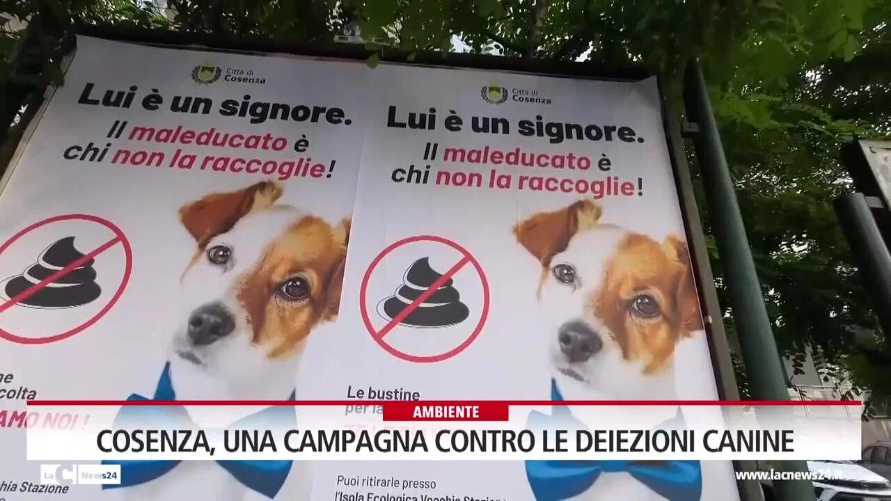 Cosenza, una campagna contro le deiezioni canine