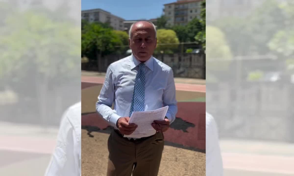 Vandalizzato il Parco del Benessere a Cosenza, il sindaco Caruso denuncia: «Mostri che deturpano la città» | VIDEO