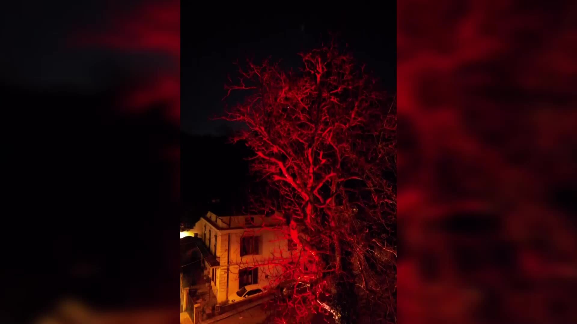 \"L'albero delle noci\" di Dario Brunori illumina San Fili con il drone di Alessia Greco | VIDEO
