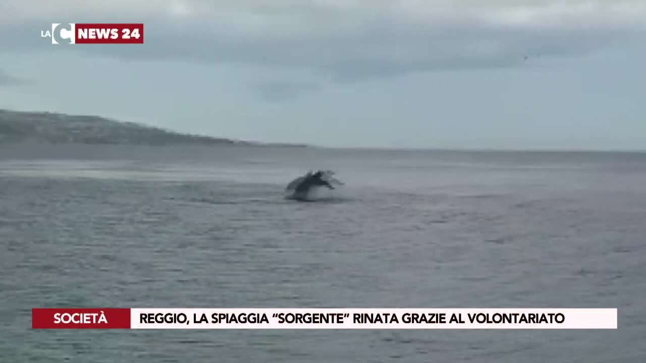 Reggio, la spiaggia “sorgente” rinata grazie al volontariato